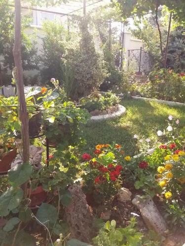 Apartamento Rooms Veska