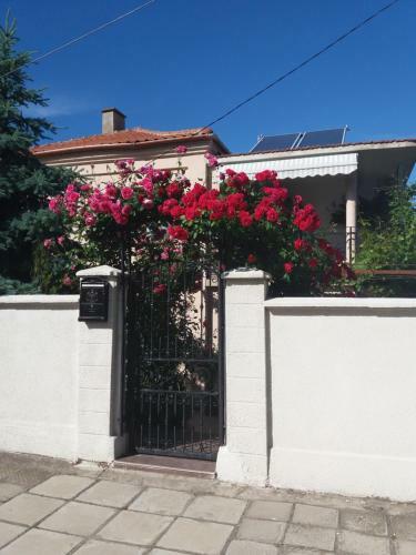 Apartamento Rooms Veska