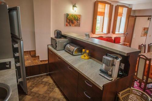 Gramatikova House
