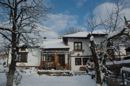 Patashka House