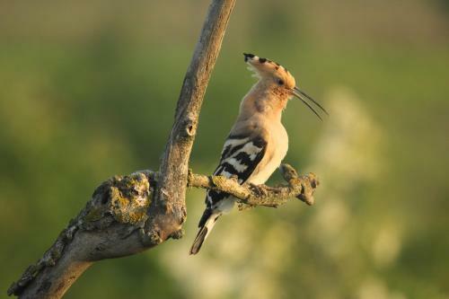Agroturismo Nature Travel