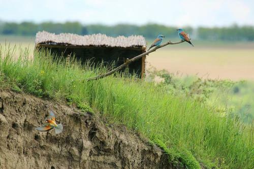 Agroturismo Nature Travel