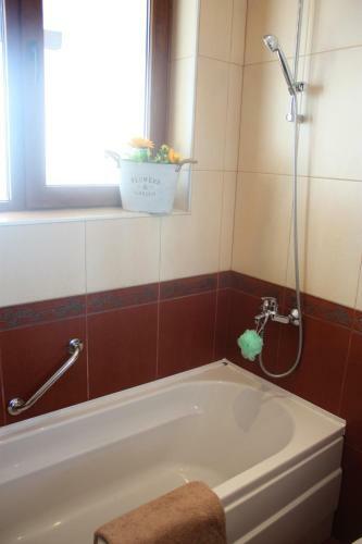 Hotel White Coast Beach Apartments
