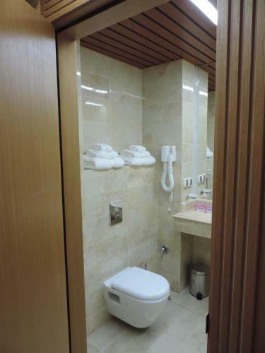 Hotel Svilena