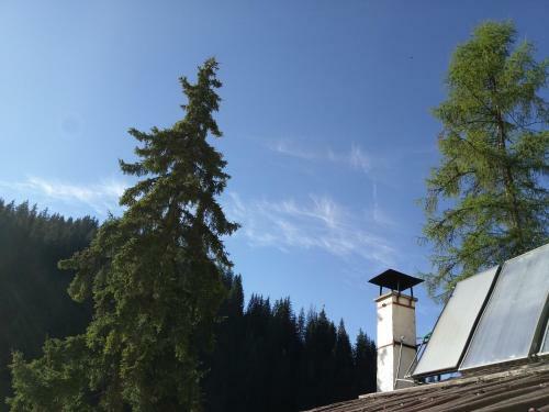 Hotel Vlahvi's House