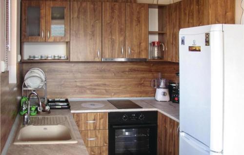 Three-bedroom Holiday Home In Obrochishte
