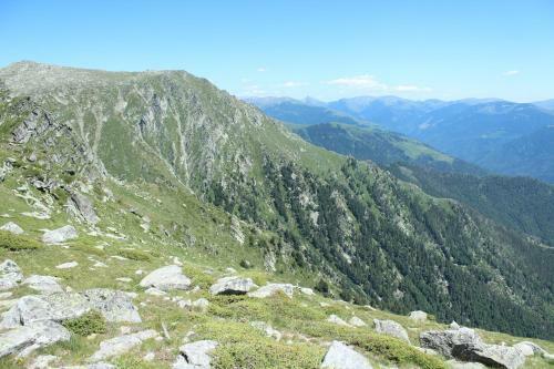 Villa Fauna