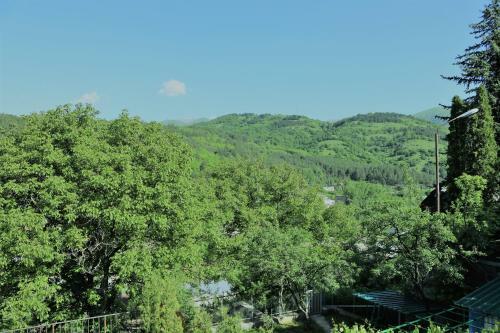 Modern Floor - Dilijan Garden House