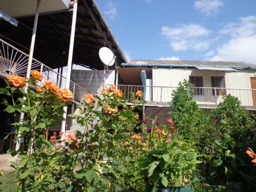 Anush`s B&B