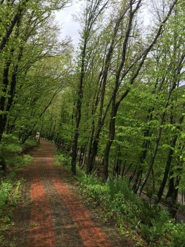 Hostal Chalet Tsaghkadzor Holiday Home