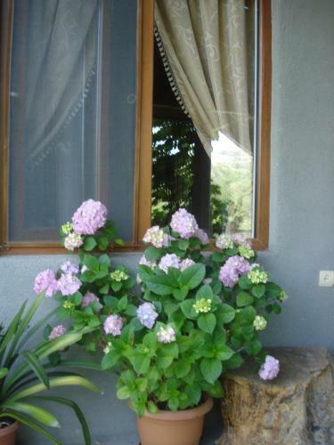 Khachik's B&B