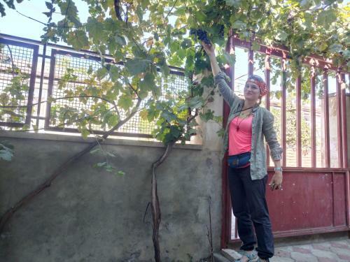 Karine B&B