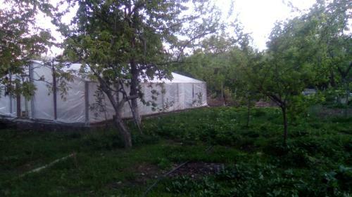 Bed & Breakfast Guest House Armina
