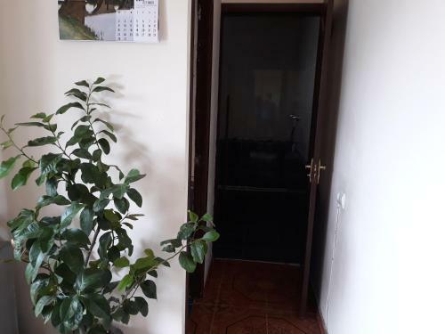 Hostal Arame