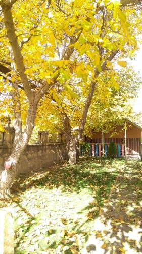 Hostal Guest House Nataly