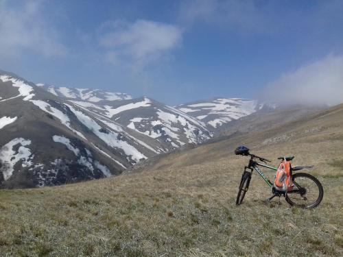 Hostal Geologist's House
