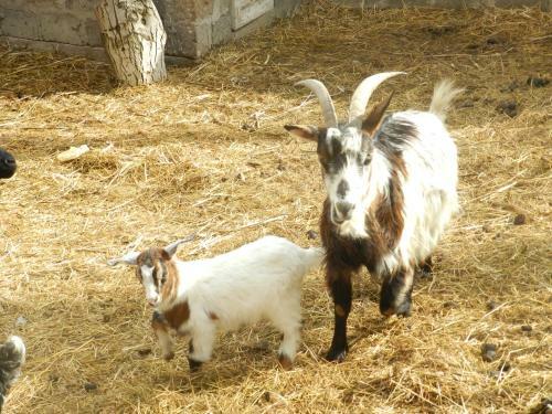 Hostal Hyelandz Eco Village Resort