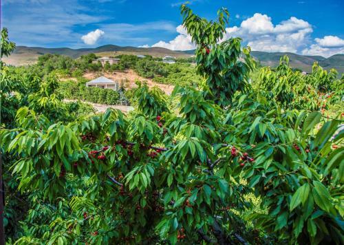Hostal Hyelandz Eco Village Resort