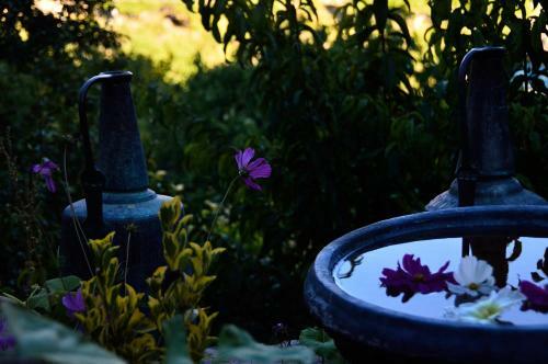 Hostal Hyelandz Eco Village Resort