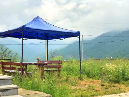 Hostal 3d Guest House