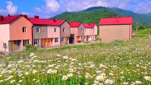 Hostal 3d Guest House
