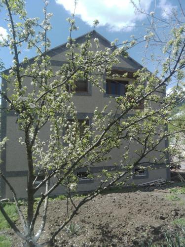 B&B Araz