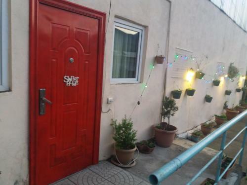 Sunny Sweet Home