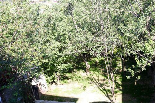 Dilijan Family House
