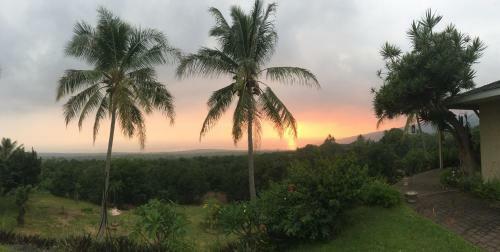 Bed & Breakfast Kona Bayview Inn