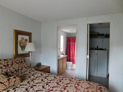 Lodging And Llamas