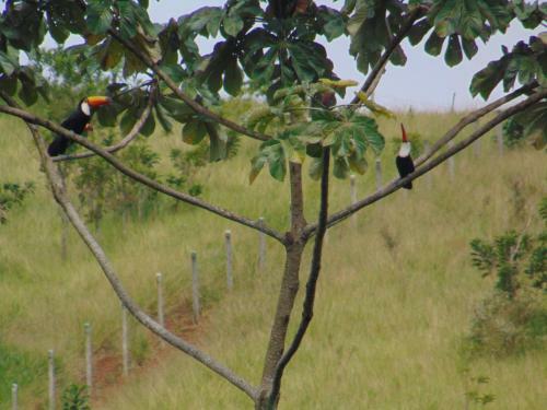 Hostal Pousada Do Mendon�a