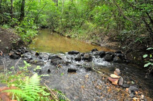 Ocoee River Area Twin Creeks
