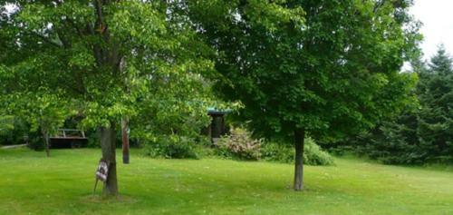 Bed & Breakfast The South Glenora Tree Farm