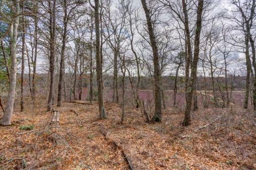 Cranberry Hill