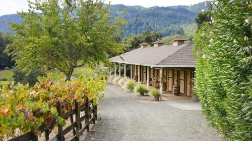 Sonoma Valley Vineyard Estate