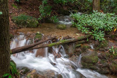 Creekside