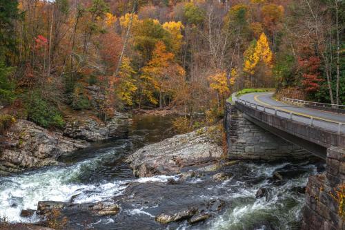 Creekside