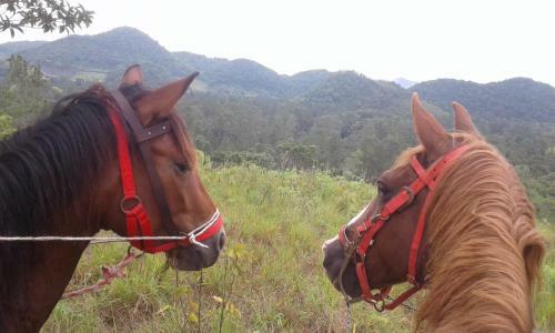 Finca Ixobel