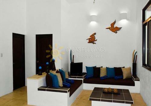 Casas Pelicanos