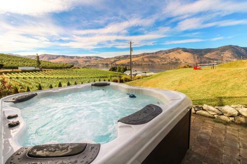 Vineyard Vista