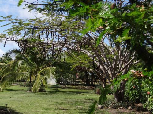 Villa Buenaventura