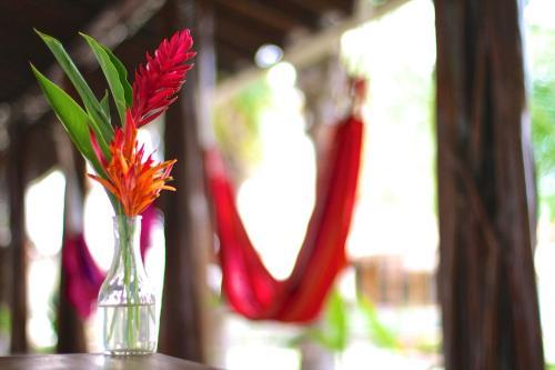 Hotel Santa Catalina Panam�