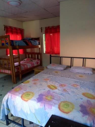 Bamb� Hostel