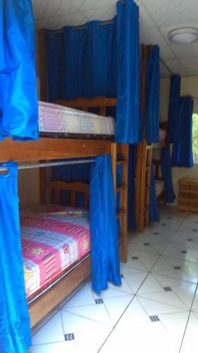Bamb� Hostel