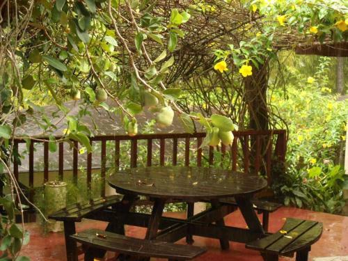 Hotel Rancho Olivier