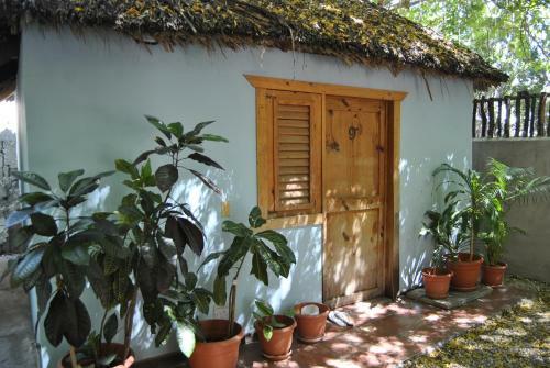Hotel Loro Tuerto