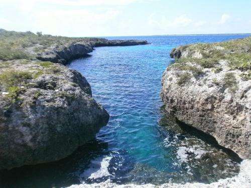 Hostal Guest House Villa La Isla B&B