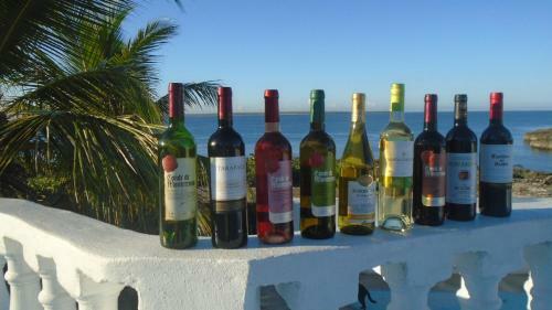 Hostal Guest House Villa La Isla B&B