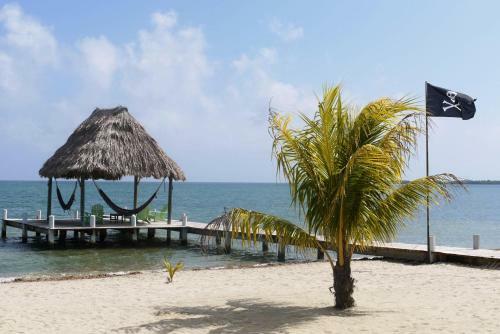 Lodge Green Parrot Beach Houses And Resort