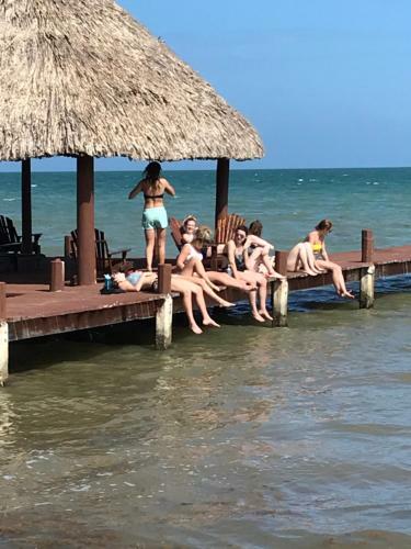 Lodge Green Parrot Beach Houses And Resort